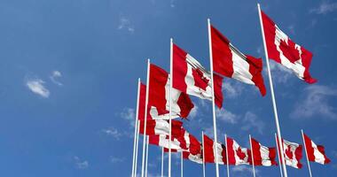 Peru and Canada Flags Waving Together in the Sky, Seamless Loop in Wind, Space on Left Side for Design or Information, 3D Rendering video