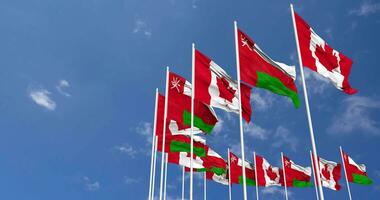 Oman and Canada Flags Waving Together in the Sky, Seamless Loop in Wind, Space on Left Side for Design or Information, 3D Rendering video