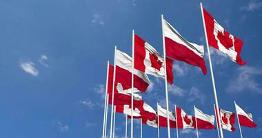 Poland and Canada Flags Waving Together in the Sky, Seamless Loop in Wind, Space on Left Side for Design or Information, 3D Rendering video