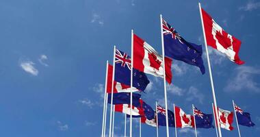 nuovo Zelanda e Canada bandiere agitando insieme nel il cielo, senza soluzione di continuità ciclo continuo nel vento, spazio su sinistra lato per design o informazione, 3d interpretazione video