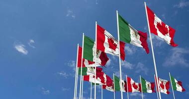 mexico y Canadá banderas ondulación juntos en el cielo, sin costura lazo en viento, espacio en izquierda lado para diseño o información, 3d representación video