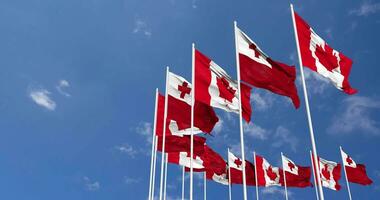 Tonga and Canada Flags Waving Together in the Sky, Seamless Loop in Wind, Space on Left Side for Design or Information, 3D Rendering video