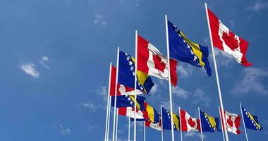 Bosnia and Herzegovina and Canada Flags Waving Together in the Sky, Seamless Loop in Wind, Space on Left Side for Design or Information, 3D Rendering video