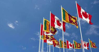 Sri Lanka and Canada Flags Waving Together in the Sky, Seamless Loop in Wind, Space on Left Side for Design or Information, 3D Rendering video