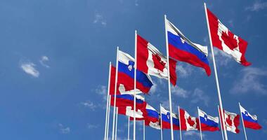 Slovenia and Canada Flags Waving Together in the Sky, Seamless Loop in Wind, Space on Left Side for Design or Information, 3D Rendering video