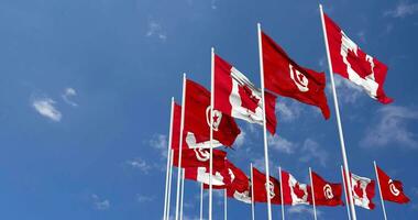 tunisien och kanada flaggor vinka tillsammans i de himmel, sömlös slinga i vind, Plats på vänster sida för design eller information, 3d tolkning video