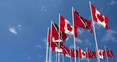 Trinidad and Tobago and Canada Flags Waving Together in the Sky, Seamless Loop in Wind, Space on Left Side for Design or Information, 3D Rendering video