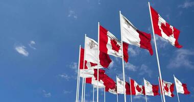 Malta and Canada Flags Waving Together in the Sky, Seamless Loop in Wind, Space on Left Side for Design or Information, 3D Rendering video