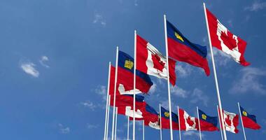 Liechtenstein and Canada Flags Waving Together in the Sky, Seamless Loop in Wind, Space on Left Side for Design or Information, 3D Rendering video