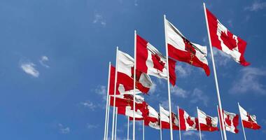 Gibraltar and Canada Flags Waving Together in the Sky, Seamless Loop in Wind, Space on Left Side for Design or Information, 3D Rendering video