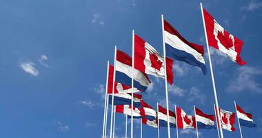 Netherlands and Canada Flags Waving Together in the Sky, Seamless Loop in Wind, Space on Left Side for Design or Information, 3D Rendering video