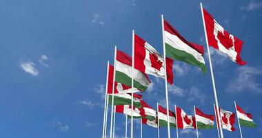 Ungheria e Canada bandiere agitando insieme nel il cielo, senza soluzione di continuità ciclo continuo nel vento, spazio su sinistra lato per design o informazione, 3d interpretazione video