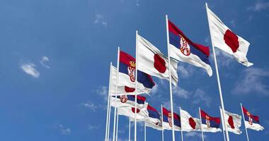 serbia och japan flaggor vinka tillsammans i de himmel, sömlös slinga i vind, Plats på vänster sida för design eller information, 3d tolkning video