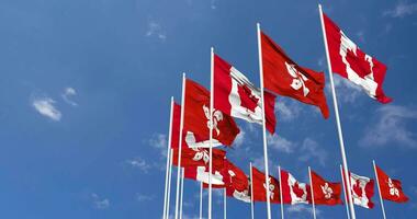 Hong kong und Kanada Flaggen winken zusammen im das Himmel, nahtlos Schleife im Wind, Raum auf links Seite zum Design oder Information, 3d Rendern video