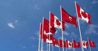 île de homme et Canada drapeaux agitant ensemble dans le ciel, sans couture boucle dans vent, espace sur la gauche côté pour conception ou information, 3d le rendu video