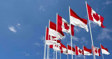 Indonesia and Canada Flags Waving Together in the Sky, Seamless Loop in Wind, Space on Left Side for Design or Information, 3D Rendering video