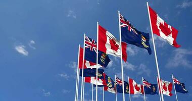 kaaiman eilanden en Canada vlaggen golvend samen in de lucht, naadloos lus in wind, ruimte Aan links kant voor ontwerp of informatie, 3d renderen video
