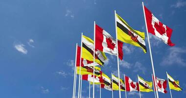 Brunei and Canada Flags Waving Together in the Sky, Seamless Loop in Wind, Space on Left Side for Design or Information, 3D Rendering video