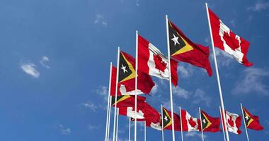 East Timor and Canada Flags Waving Together in the Sky, Seamless Loop in Wind, Space on Left Side for Design or Information, 3D Rendering video