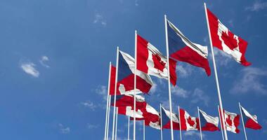 Czech Republic and Canada Flags Waving Together in the Sky, Seamless Loop in Wind, Space on Left Side for Design or Information, 3D Rendering video