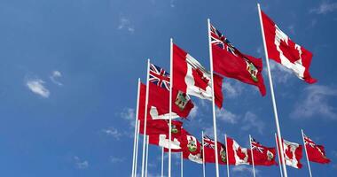 Bermuda and Canada Flags Waving Together in the Sky, Seamless Loop in Wind, Space on Left Side for Design or Information, 3D Rendering video