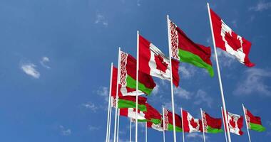 Belarus and Canada Flags Waving Together in the Sky, Seamless Loop in Wind, Space on Left Side for Design or Information, 3D Rendering video