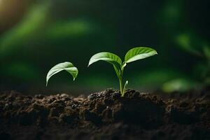 ai generado dos joven plantas creciente en el suciedad foto