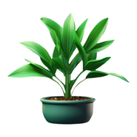 AI generated Plant in a Pot on Transparent background - Ai Generated png