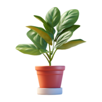 ai généré plante dans une pot sur transparent Contexte - ai généré png