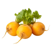 AI generated Yellow Turnips on Transparent background - Ai Generated png