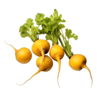 AI generated Yellow Turnips on Transparent background - Ai Generated png