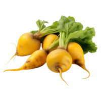 AI generated Yellow Turnips on Transparent background - Ai Generated png