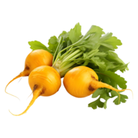 AI generated Yellow Turnips on Transparent background - Ai Generated png