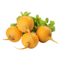 AI generated Yellow Turnips on Transparent background - Ai Generated png