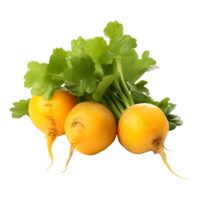 AI generated Yellow Turnips on Transparent background - Ai Generated png