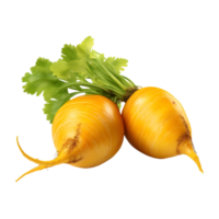 AI generated Yellow Turnips on Transparent background - Ai Generated png