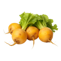 AI generated Yellow Turnips on Transparent background - Ai Generated png