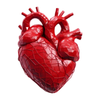 ai generado 3d representación de un humano corazón en transparente antecedentes - ai generado png