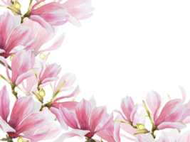 floreale striscione, telaio con acquerello rosa magnolie fiori, mini cuffie e le foglie mano dipinto illustrazione. botanico modello per nozze, inviti o saluto carte png