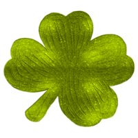 clover leaf of the plant hand drawn illustration png