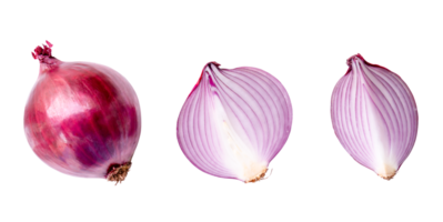 Top view of red or purple onion bulb with half and slice in set isolated with clipping path in png file format