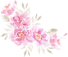 Pink Rose Watercolor Flower Arrangement png