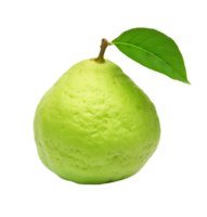 Fresh guava fruit with leaf isolated on transparent background png
