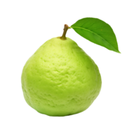 vers guava fruit met blad geïsoleerd Aan transparant achtergrond png