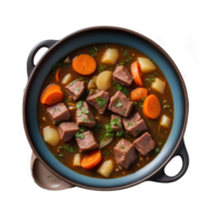 ai généré Viande ragoût, Turshu, sebze gourma avec oignons, vert herbes, carottes dans bouillon sauce isolé sur transparent Contexte png