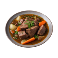 AI generated Meat stew, turshu, sebze govurma with onions, green herbs, carrots in broth sauce isolated on transparent background png