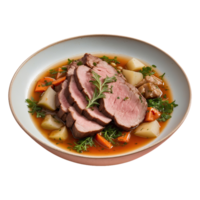 AI generated Meat sauteed with herbs and spices in the broth isolated on transparent background png