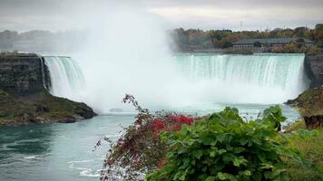 Niagara valt. visie van hoefijzer valt van tafel rots in koningin Victoria park in Niagara valt. Canada. vogel vliegend over- Niagara valt. nationaal park. video