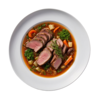 AI generated Meat sauteed with herbs and spices in the broth isolated on transparent background png