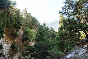 puntos de vista en el montañas a lo largo el camino mediante el garganta soleado día. ver de garganta, un garganta en el montañas de Grecia, acostado en el pendientes de montañas, uno de el mas profundo gargantas en el mundo. foto